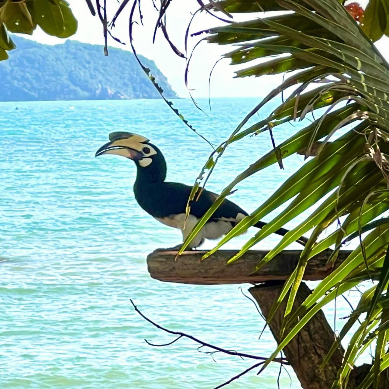 Koh Phaluai Beach Bangalow Ban Ko Nok Taphao Экстерьер фото