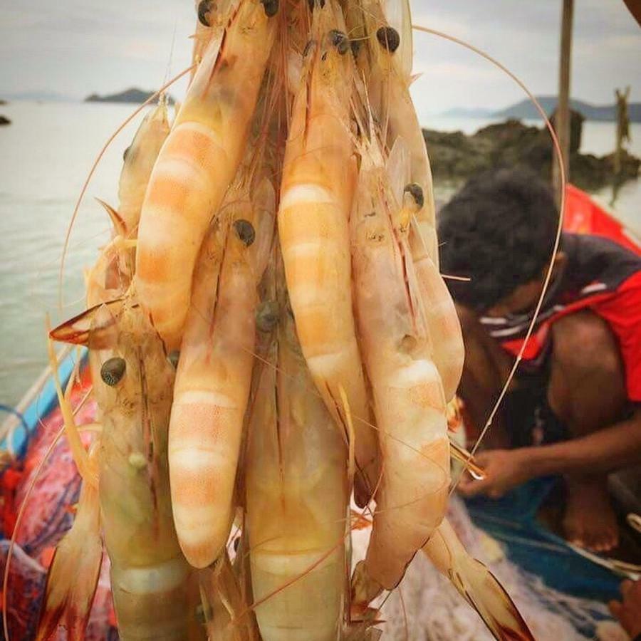 Koh Phaluai Beach Bangalow Ban Ko Nok Taphao Экстерьер фото